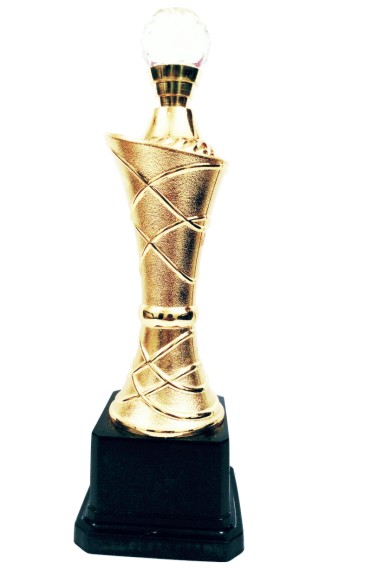 Fibre Sports Trophies