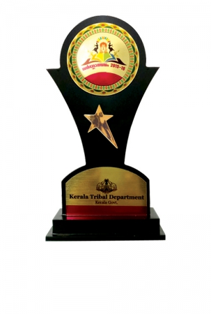 Elegant Wooden Award for Govt Bodies and Organizations