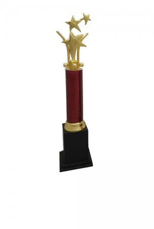 Most Dynamic Performer Golden and Scarlet Column Award