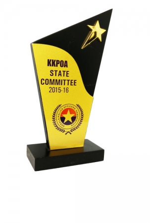 Shooting Star on Tower Customizable Wooden Award