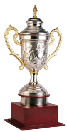 Metal Sports Cup