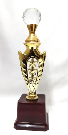 Fibre Crystal Diamond Trophy