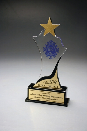 Star  Award Of Excellence