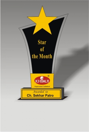 Star Award Of Excellence