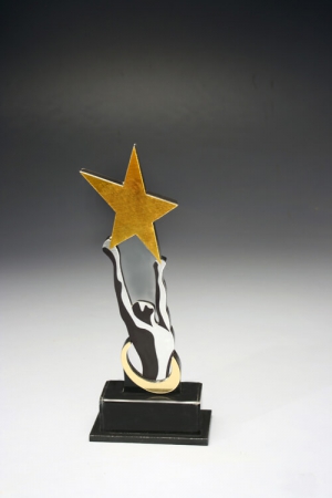 Super Star Award