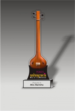 Music Instrumental Award