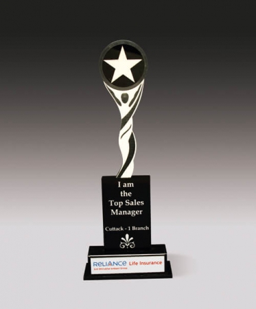 Star Achiever Award(GA 24)