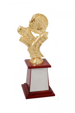 Golden Football Trophy to Recognize Top Goal Scorer