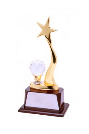 Crystal Star Illumination Award