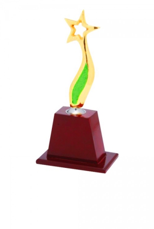 Standing Star Alone Top Designed Trophy on Wooden Base