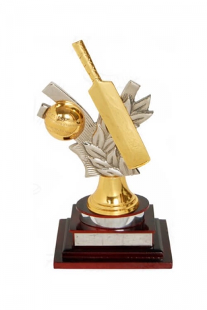 Cricket Trophy with Golden Bat and Ball