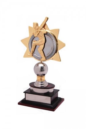 Best Batsman Trophy for Cricket