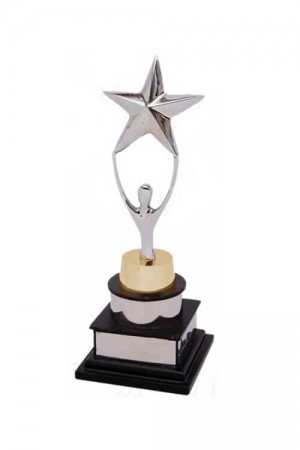 Star Achiver Award Metal