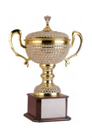 Crystal Engraved Golden Trophy