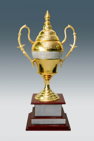 Premium Sports Trophy on Wooden Base