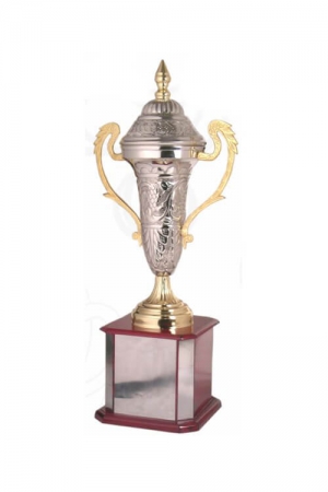 Metallic Sports Trophy with Artistic Engraving