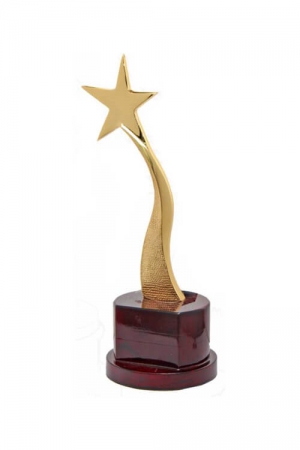 The Shinning Star Award for Top Achievers