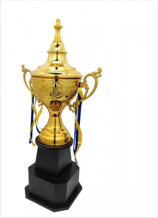 Golden Cup Premium Award Sports Trophy