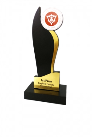 Sphere on Flame Customizable Wooden Award