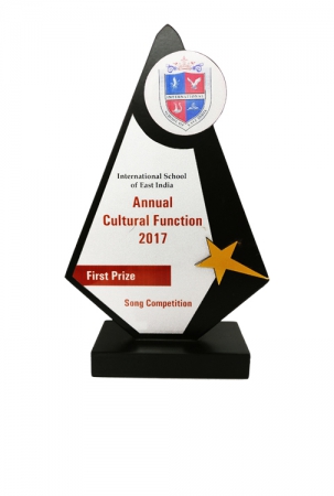 Shield Disc on Pyramid Customizable Wooden Award