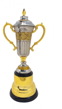 Sports Cup Trophy for Winner Team