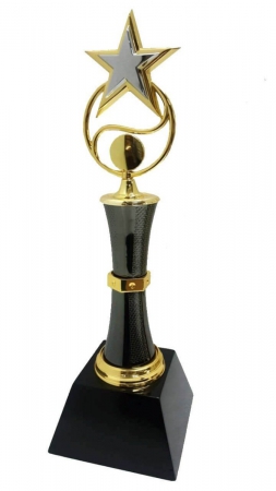 Star Design Metal Trophy for Star Performer